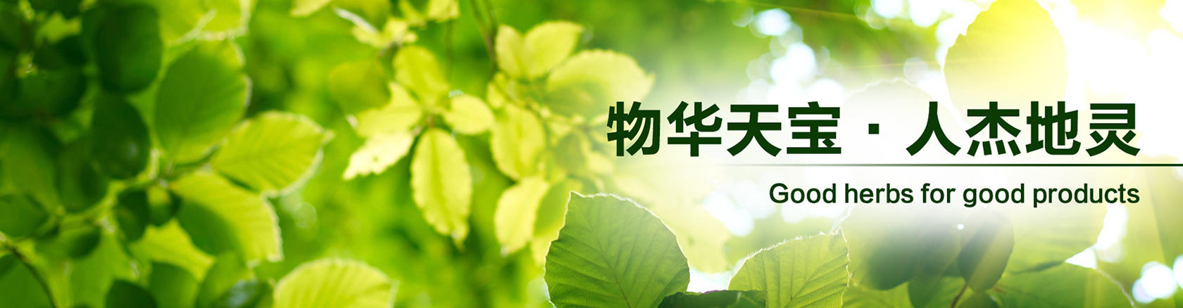 幻燈1